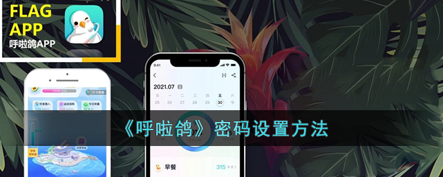 呼啦鸽怎么设置密码-呼啦鸽app密码设置方法